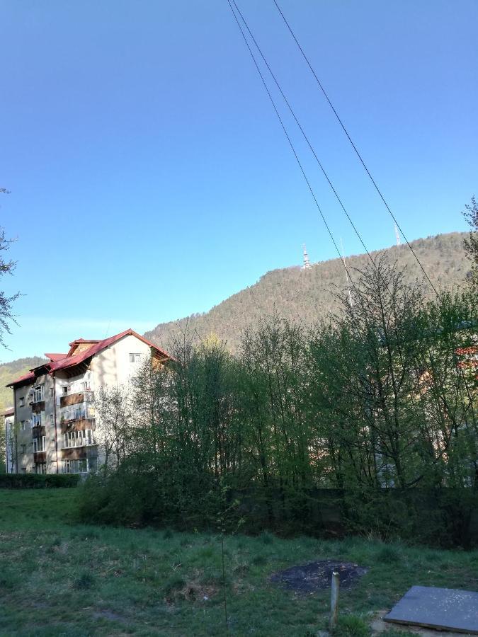 Rustic & Romantic Apartment Braşov Dış mekan fotoğraf