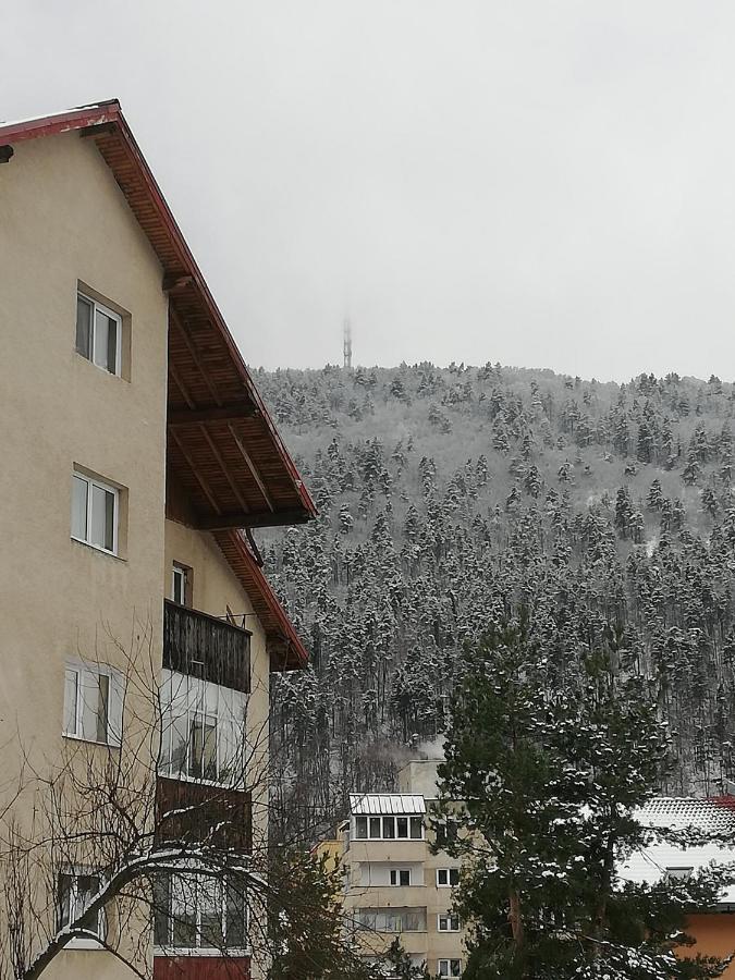 Rustic & Romantic Apartment Braşov Dış mekan fotoğraf